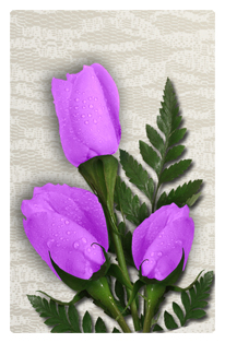 DF35T 052 2 Roses Lavender